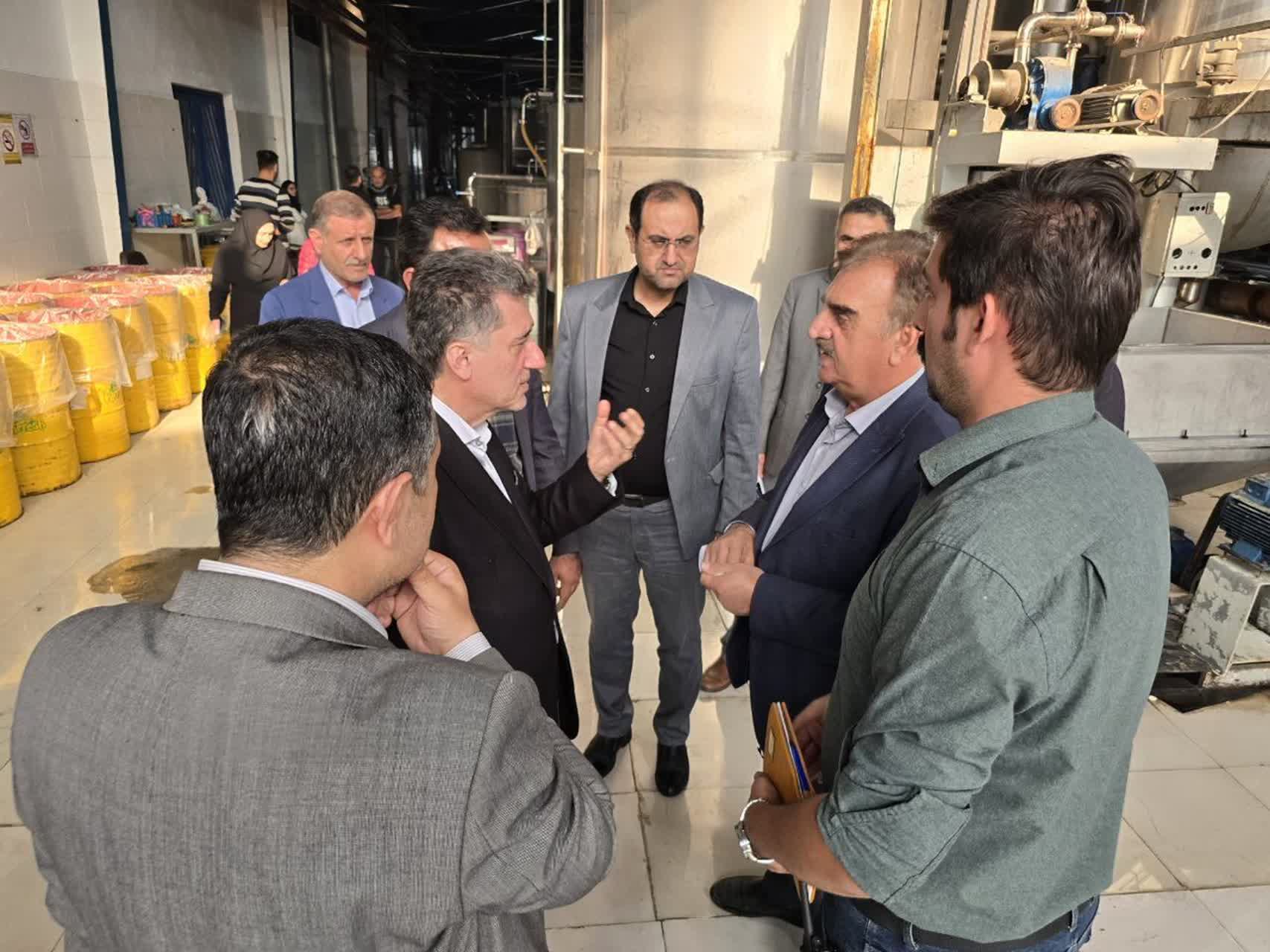 تنها ۲۰ درصد از ۱۳۵ هزار تن پرتقال گیلان فرآوری می‌شود