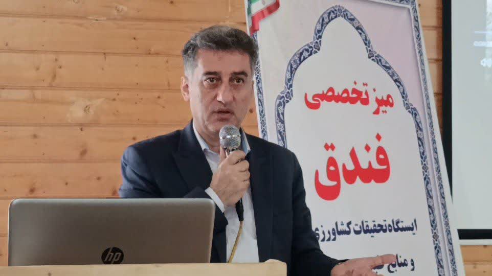 فرماندار:  از خام‌ فروشی فندق جلوگیری می شود