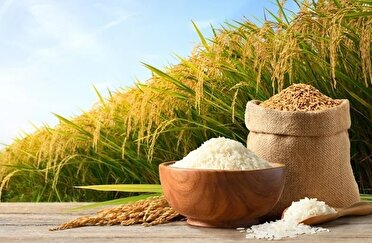 امنیت غذایی منافع ملی را تضمین می کند