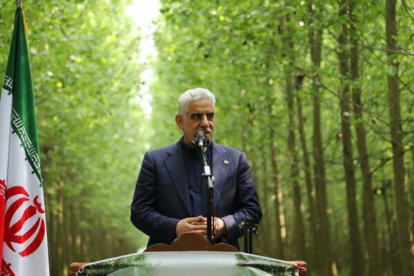 سراسر گیلان باید زیر کاشت درخت یا محصولات بومی باشد