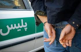 جنون مرد میانسال در قتل همسرش تأیید شد