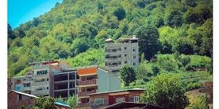 چرخه معیوب نابودی جنگل ها و برداشت بی حد شن و ماسه در سواحل