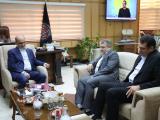 مدیران بانکهای استانها نیازمند اختیارات بیشتری هستند