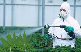 مانور سراسری مقابله با آفت کش‌های تقلبی