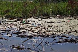 موج شکن انزلی عامل مهم رسوب گذاری در تالاب است