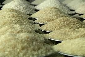 پرداخت یارانه برنج به مردم قطعی شد 