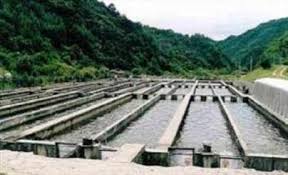 گیلان آماده هوشمند سازی استخرهای آبزی پروری است