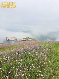 گیلان در سالی که گذشت ...