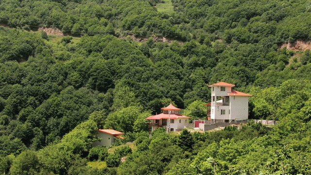 قاچاقچیان چوب 2 جنگلبان را در تالش مجروح کردند + دیدگاه ما