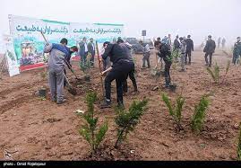 بهسازی دفنگاه سراوان 70 درصد پیشرفت دارد 