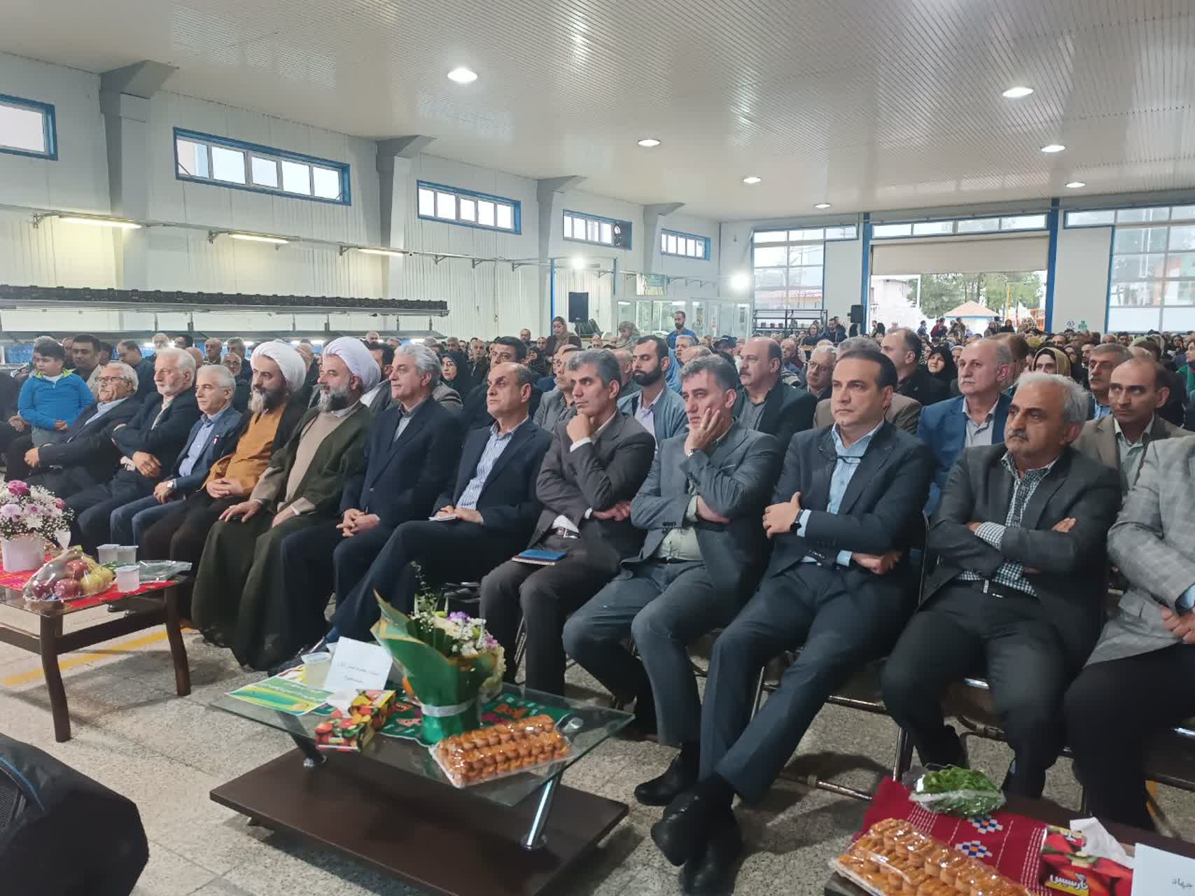 اولین کارخانه تبدیل کیوی به پاستیل افتتاح شد