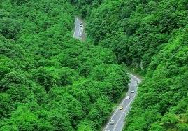 مسافرت ها به گیلان 18 درصد کاهش دارد!