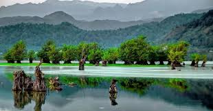 حدس بزنید.........!!